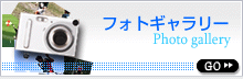 tHgM[